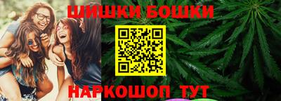 индика Ирбит
