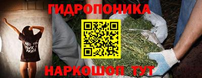 индика Ирбит