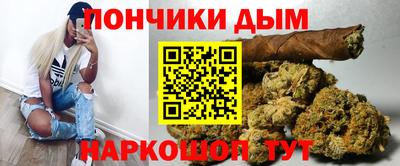 индика Ирбит