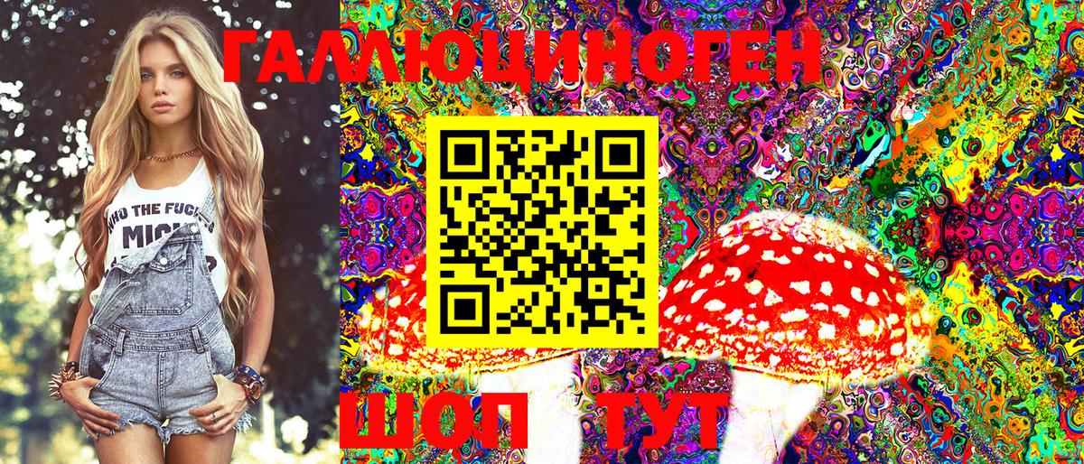 Псилоцибиновые грибы прущие грибы  Псилоцибиновые грибы MAGIC MUSHROOMS  купить   Лабинск  Вход с VPN 