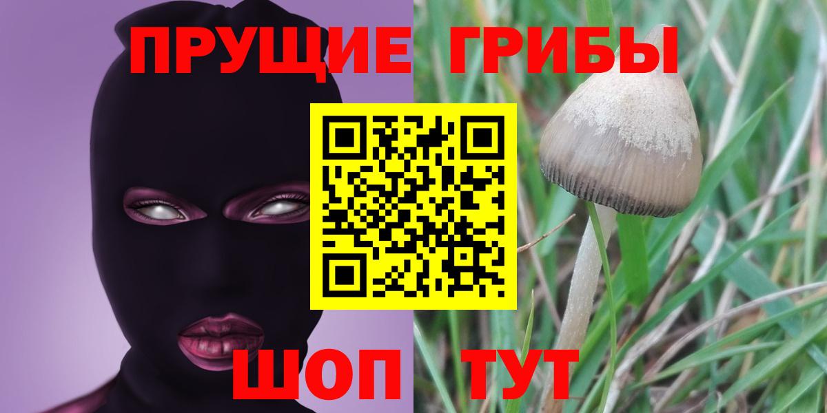 Псилоцибиновые грибы MAGIC MUSHROOMS Лабинск
